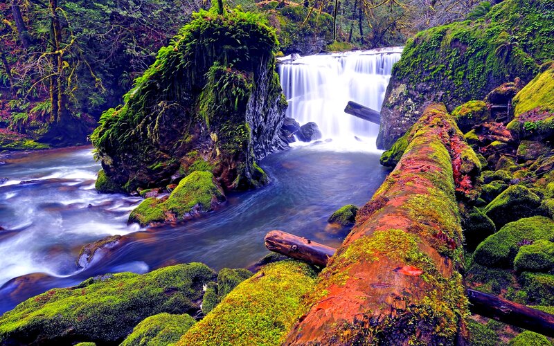 Moss-covered Waterfall — Green, Serene, Photograph, River, Trees