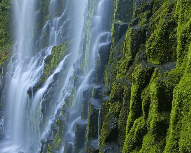 Moss-covered Waterfall — Green, Serene, Photograph, Rock