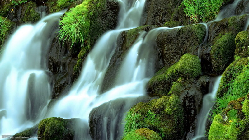 Moss-covered Waterfall — Green, Serene, Photograph, Rocks, Grass, Moss