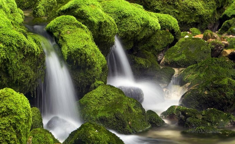 Moss-covered Waterfall — Green, Serene, Photograph, Rocks, Moss