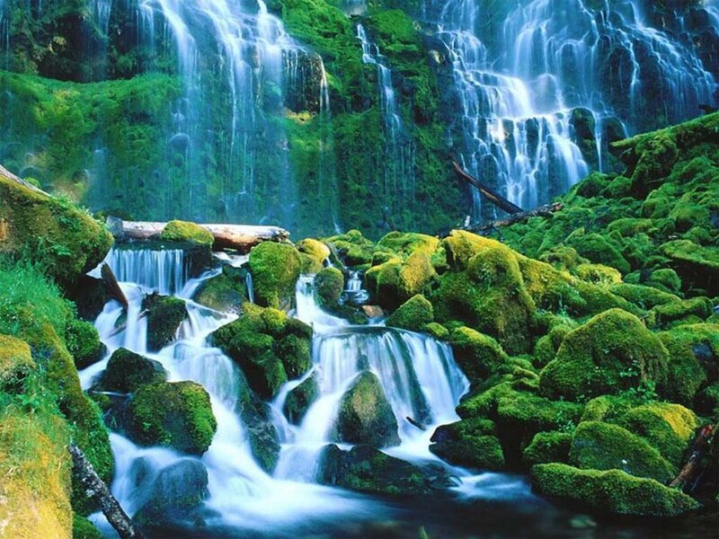 Moss-covered Waterfall — Green, Serene, Photograph, Rocks, Moss, Trees