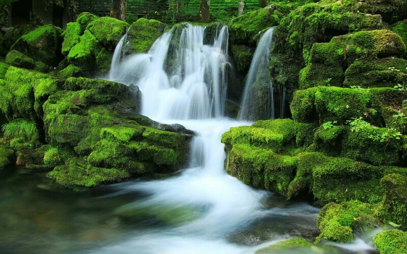 Moss-covered Waterfall — Green, Serene, Photograph, Rocks, Stream, Forest