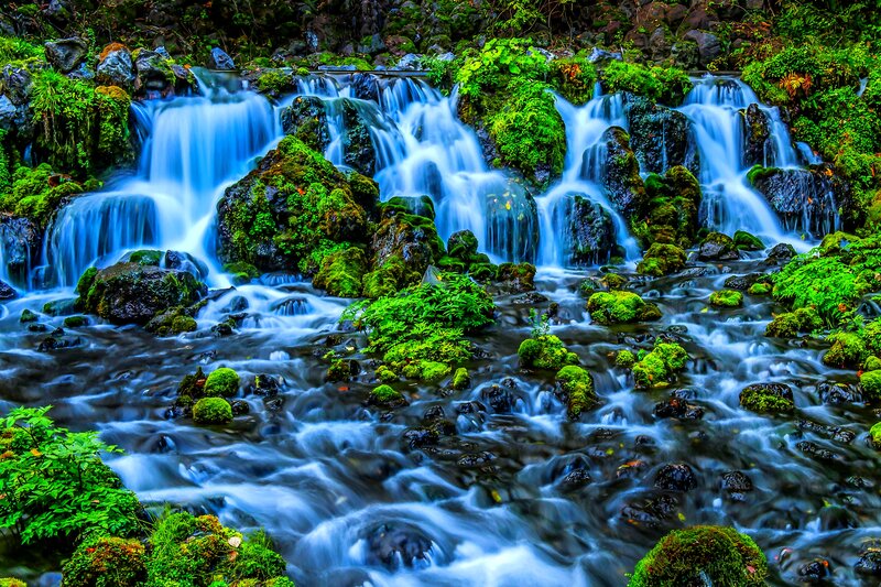 Moss-covered Waterfall — Green, Serene, Photograph, Rocks, Stream, Plants