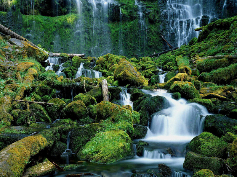 Moss-covered Waterfall — Green, Serene, Photograph, Rocks, Stream, Trees, Moss, White, Gray