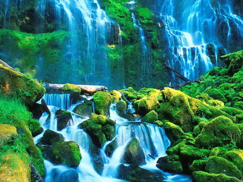 Moss-covered Waterfall — Green, Serene, Photograph, Rocks, Stream, Trees