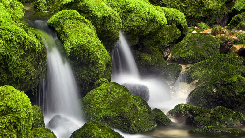 Moss-covered Waterfall — Green, Serene, Photograph, Rocks