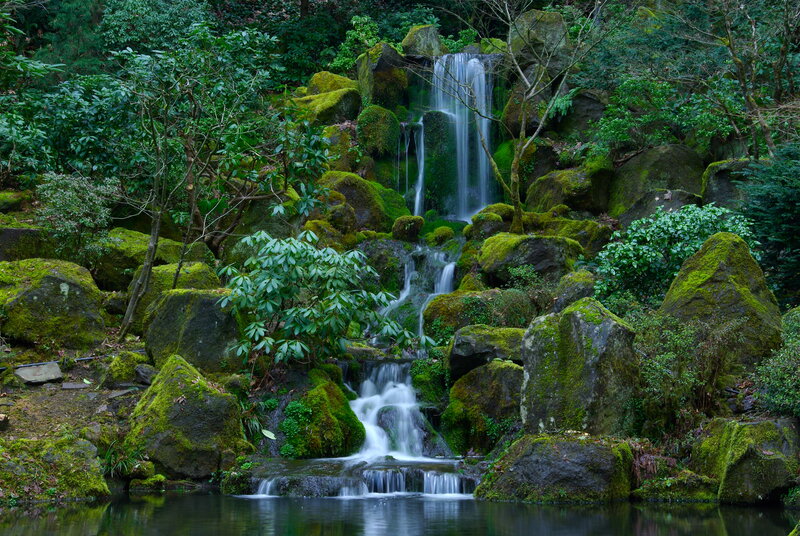 Moss-covered Waterfall — Green, Serene, Photograph, Rocks, Trees, Pond