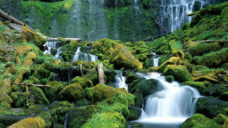 Moss-covered Waterfall — Green, Serene, Photograph, Rocks, Trees