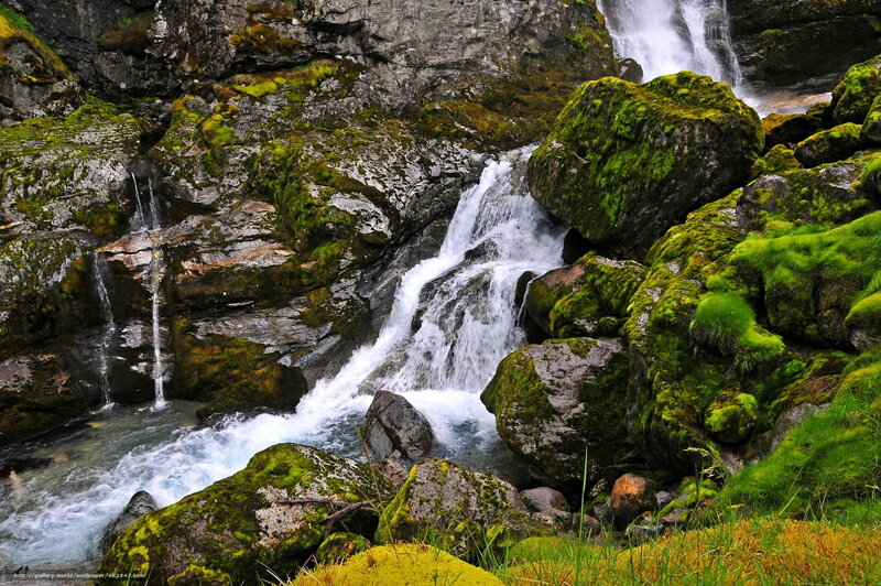 Moss-covered Waterfall — Green, Serene, Photograph, Rocks, Water