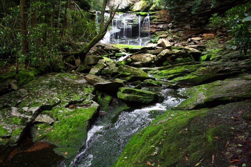 Moss-covered Waterfall — Green, Serene, Photograph, Stream, Rocks, Forest, Gray