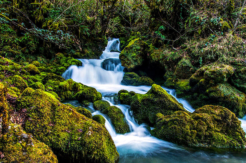 Moss-covered Waterfall — Green, Serene, Photograph, Stream, Rocks, Forest