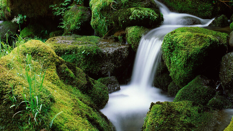 Moss-covered Waterfall — Green, Serene, Photograph, Stream, Rocks, Moss