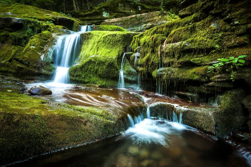 Moss-covered Waterfall — Green, Serene, Photograph, Stream, Rocks, Plants