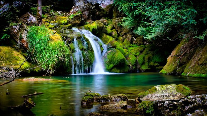 Moss-covered Waterfall — Green, Serene, Photograph, Stream