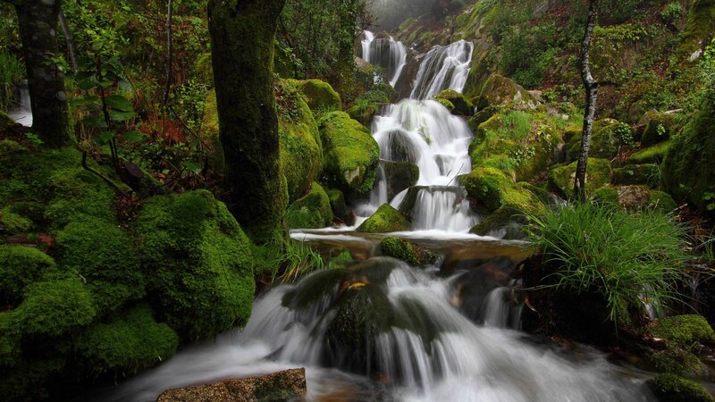 Moss-covered Waterfall — Green, Serene, Photograph, Trees