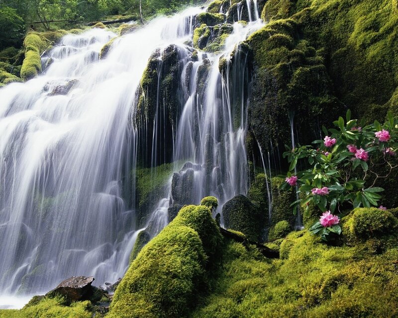Moss-covered Waterfall — Green, Serene, Spring, Photograph, Moss