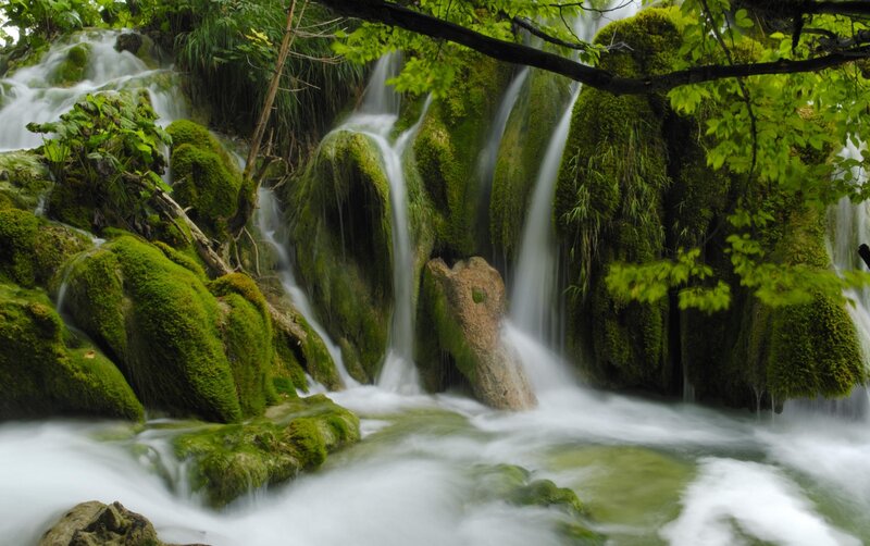 Moss-covered Waterfall — Green, Serene, Spring, Photograph, Moss, Trees