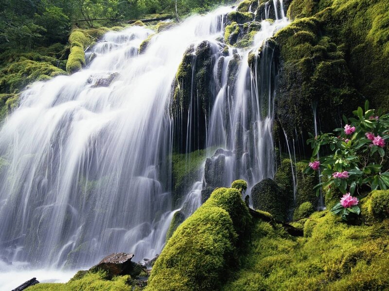 Moss-covered Waterfall — Green, Serene, Spring, Photograph