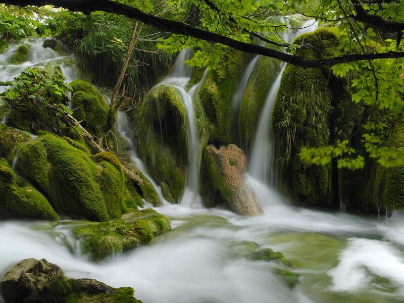 Moss-covered Waterfall — Green, Serene