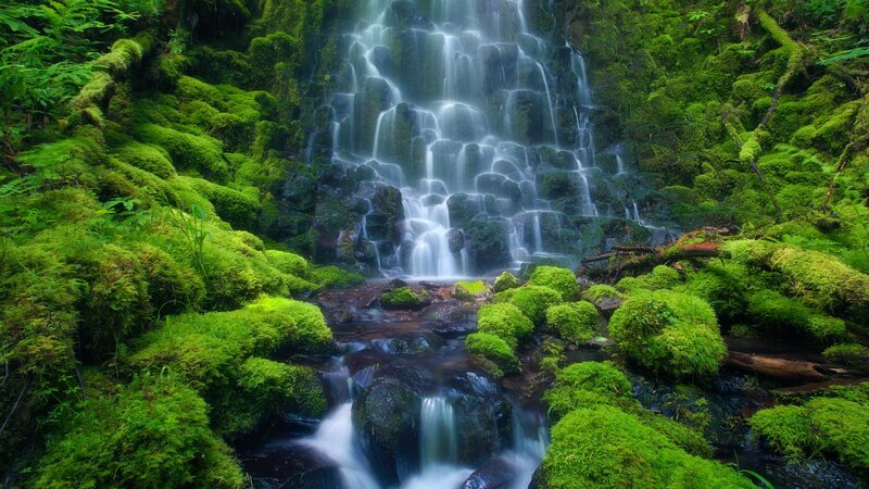 Moss-covered Waterfall — Green, Stream