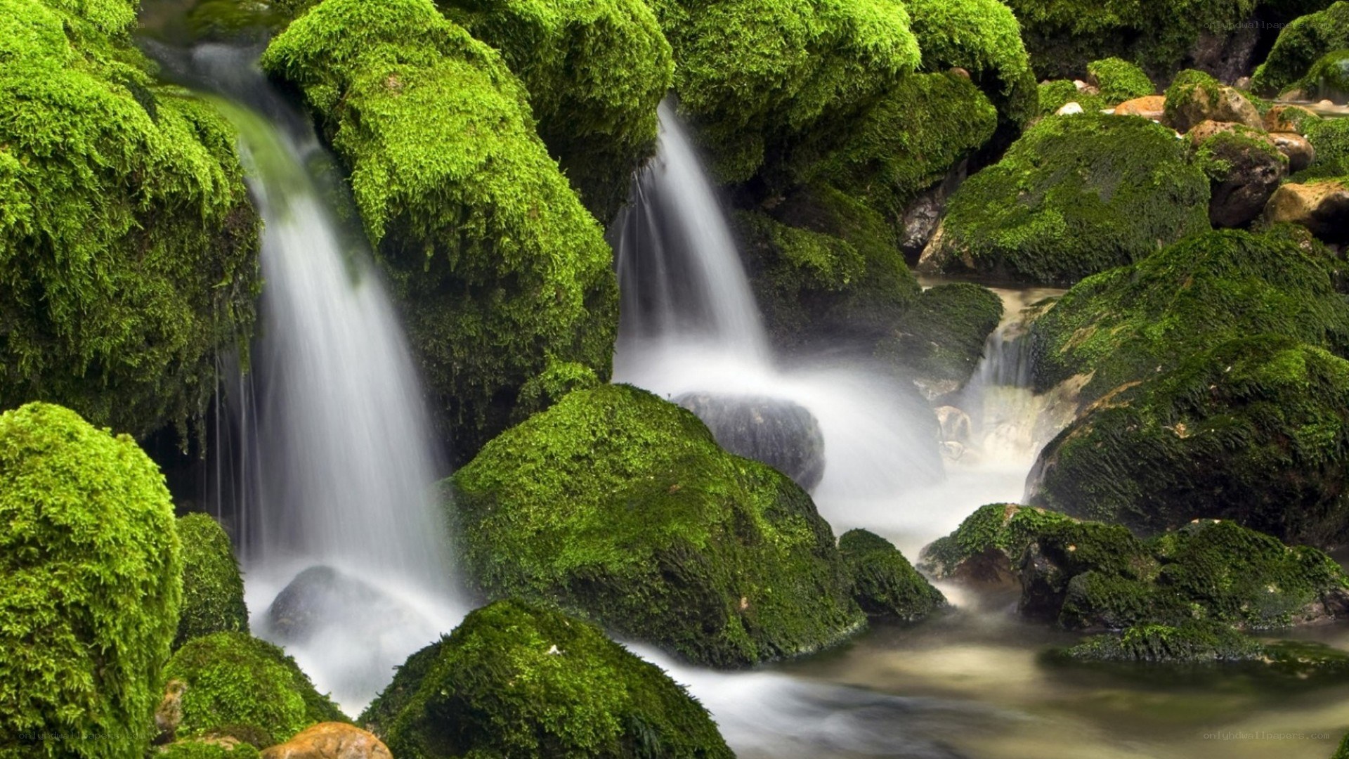 Moss-covered waterfall in forest