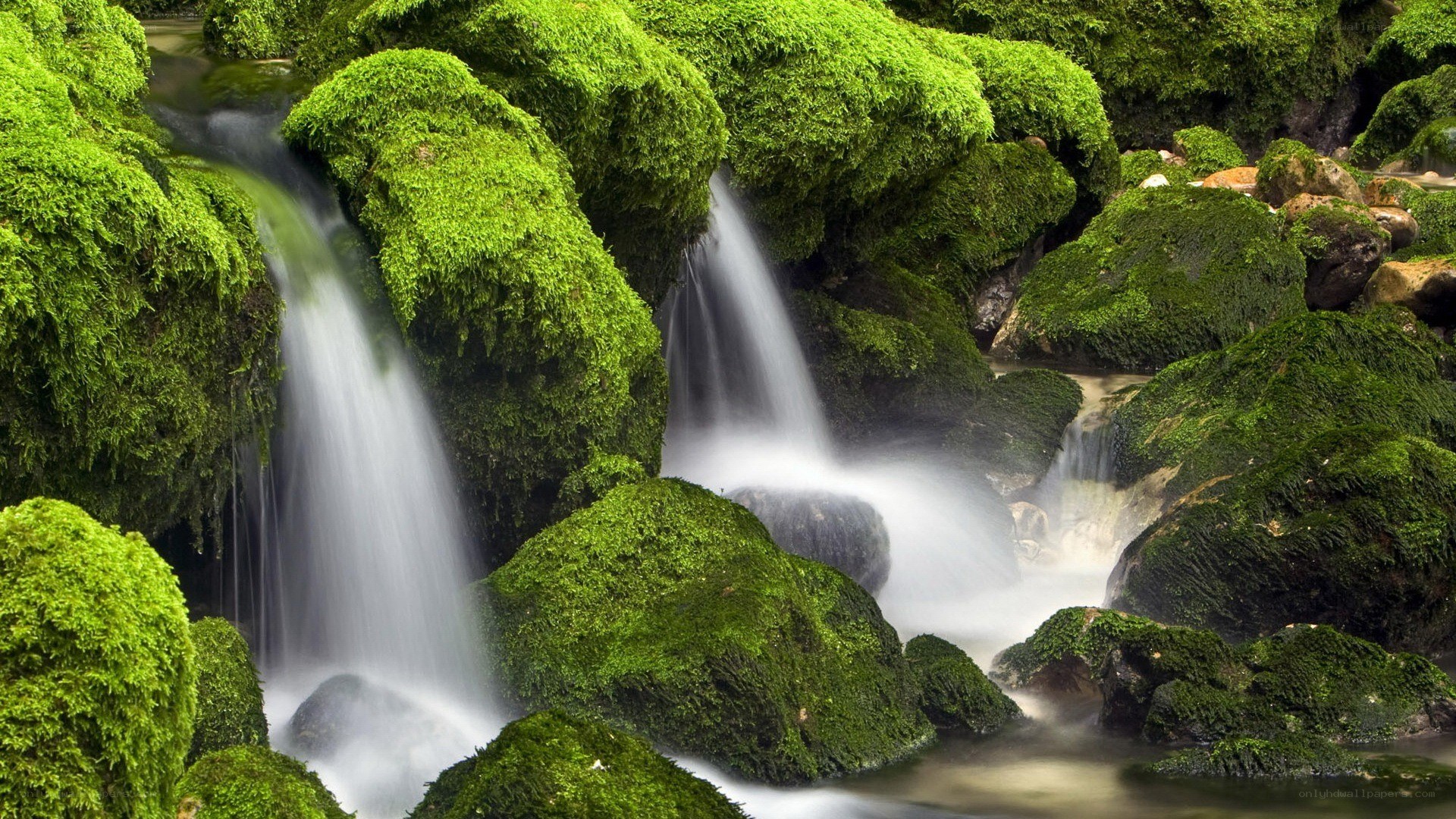 Moss-covered waterfall in forest