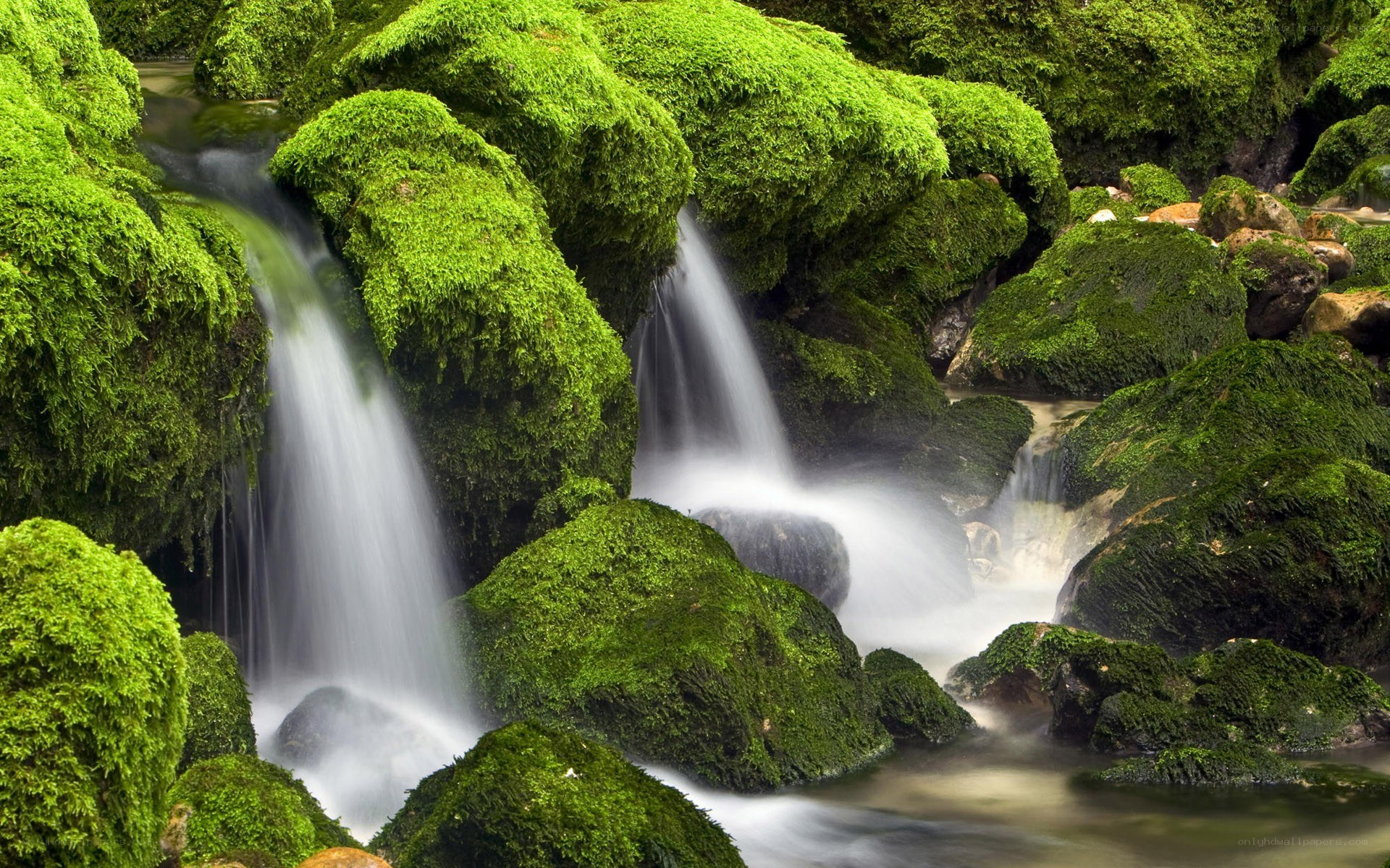 Moss-covered waterfall in forest