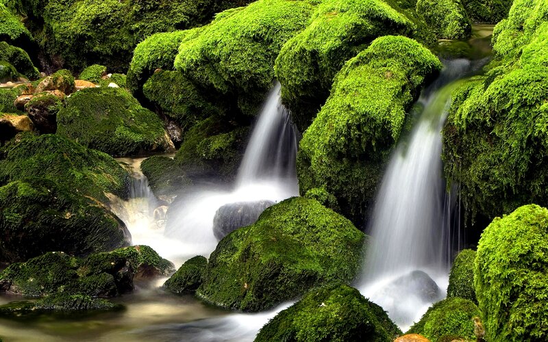 Moss-covered waterfall in forest