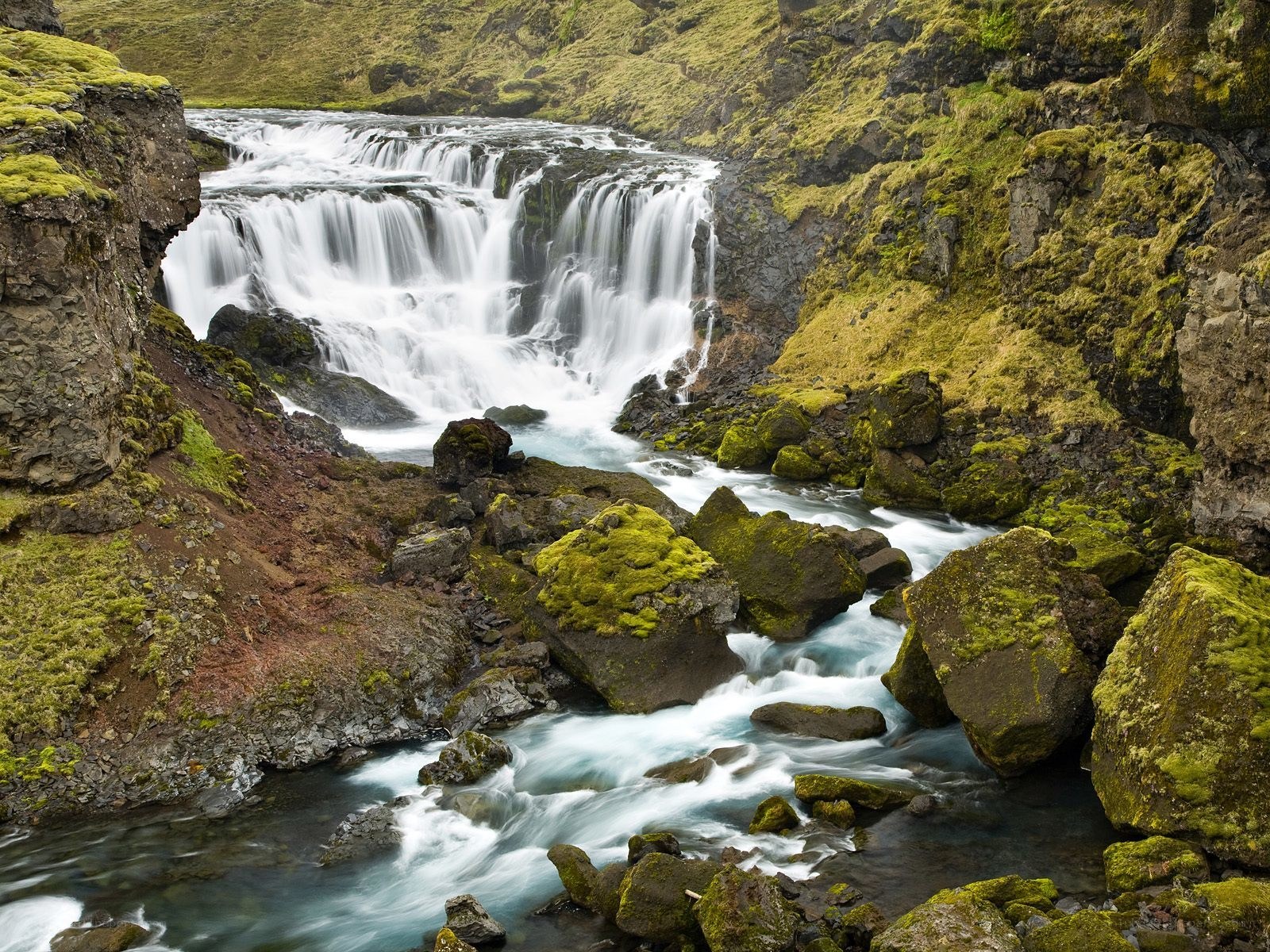 Moss-covered waterfall in Iceland