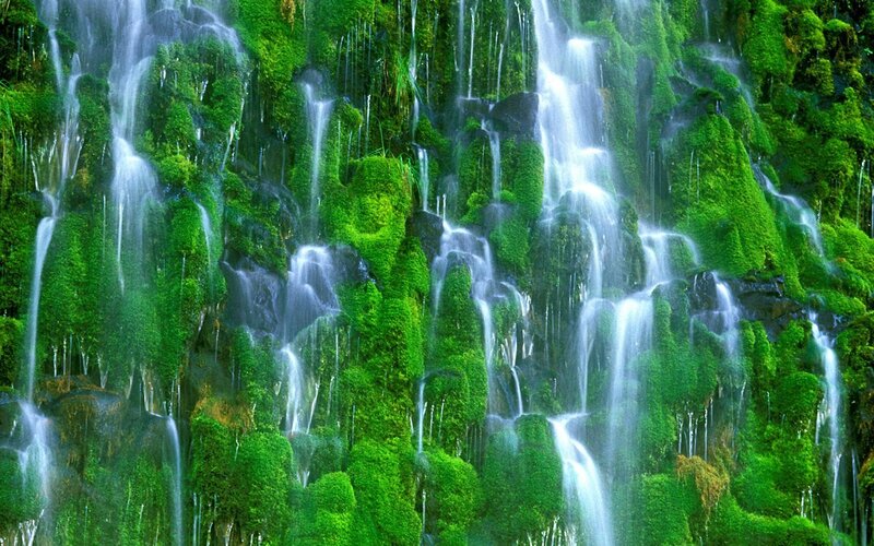 Moss-covered Waterfall — Moss