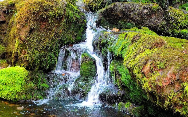 Moss-covered Waterfall — Rocks