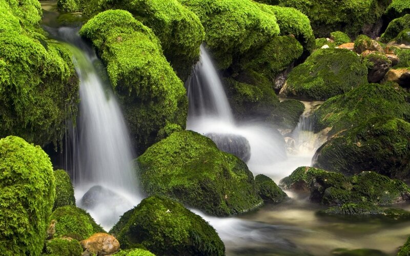 Moss-covered waterfall