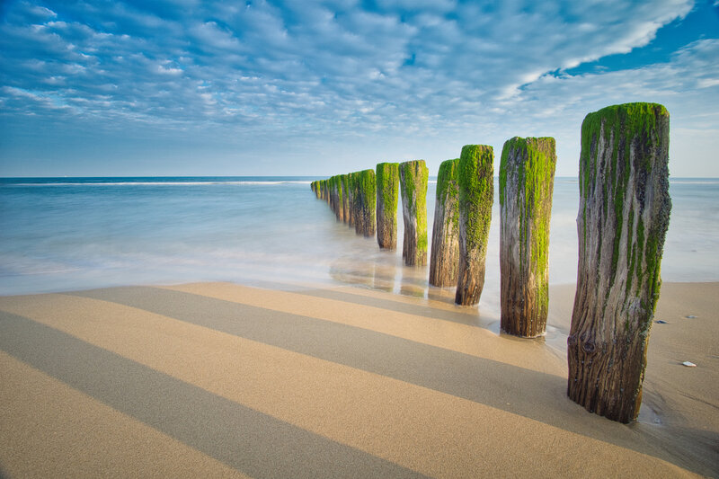 Moss-covered Wooden Posts — Blue