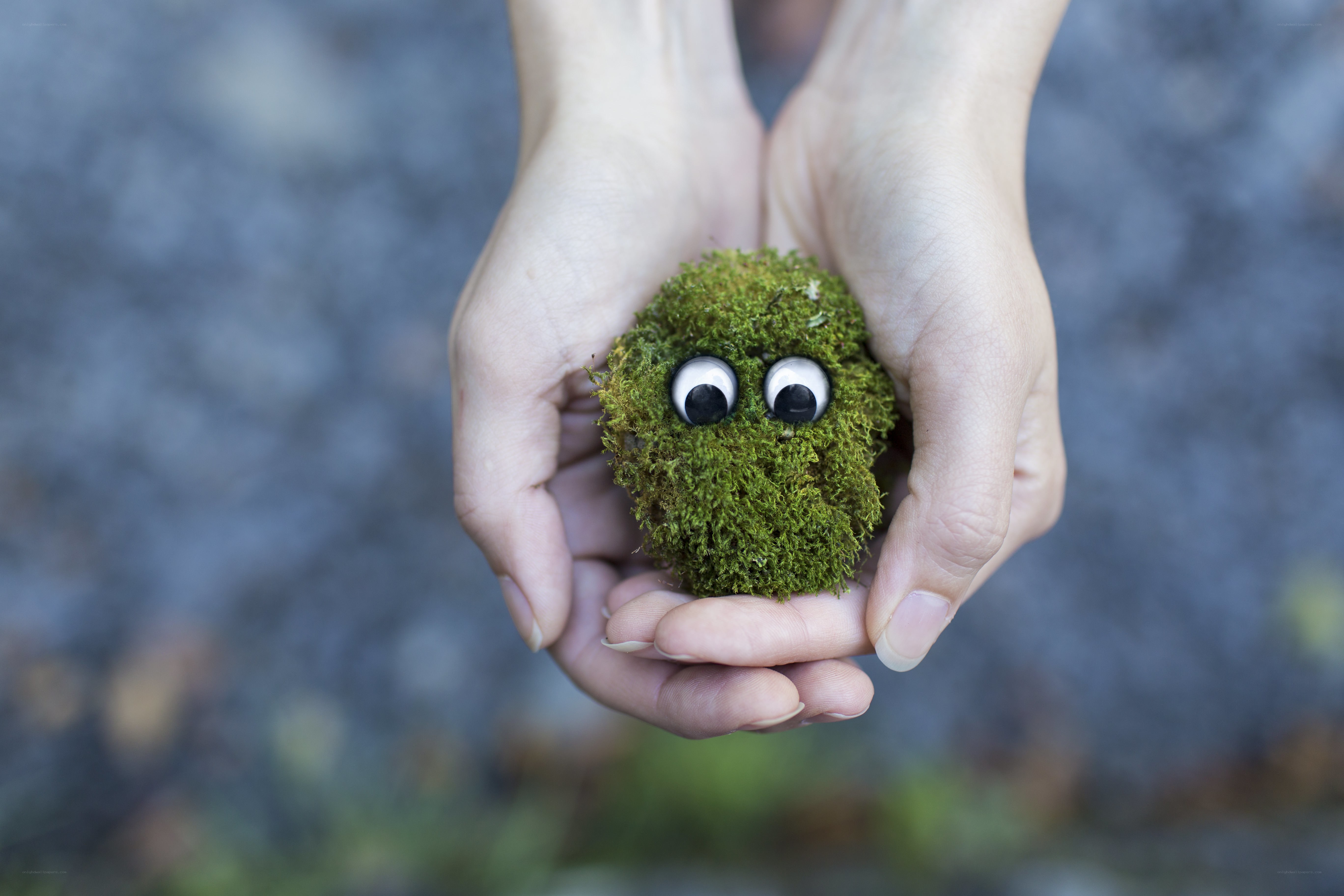 moss creature with googly eyes