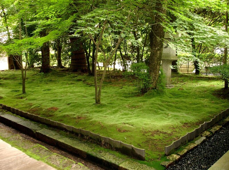 moss garden with stone lantern