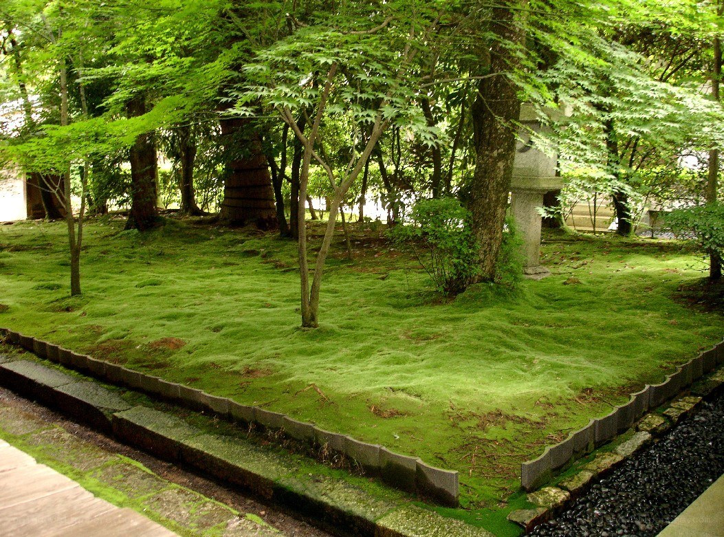 moss garden with stone lantern