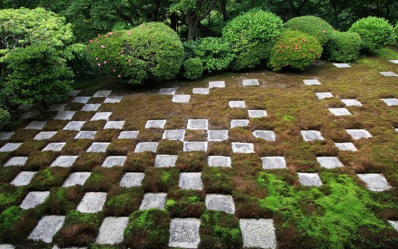 moss garden with stone path
