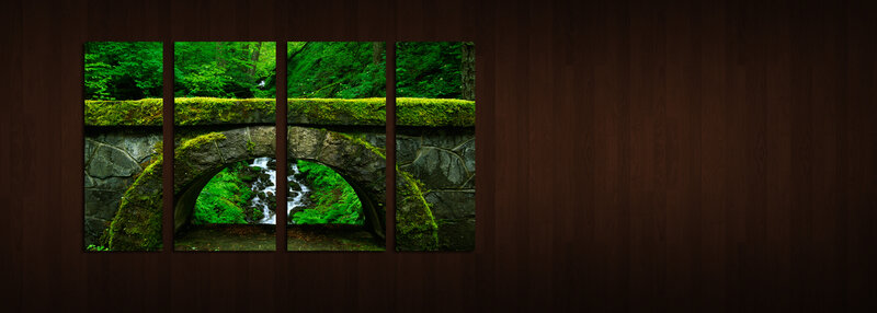 Mossy bridge in forest