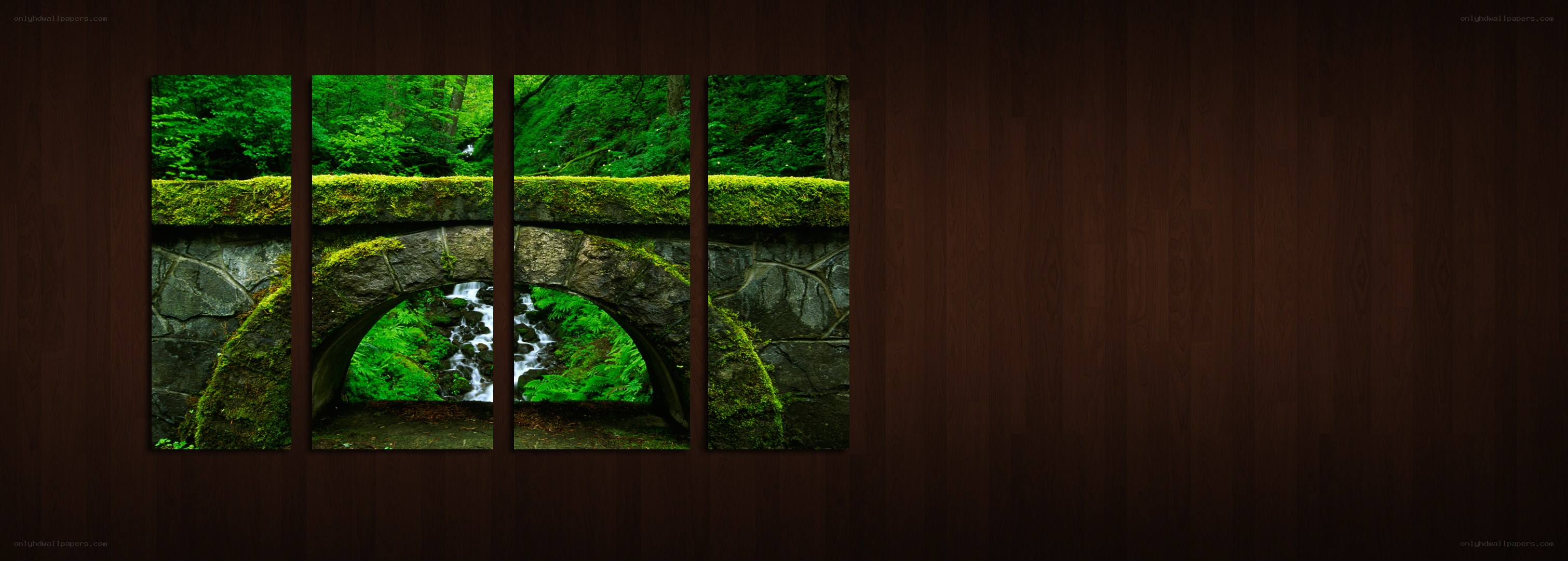 Mossy bridge in forest