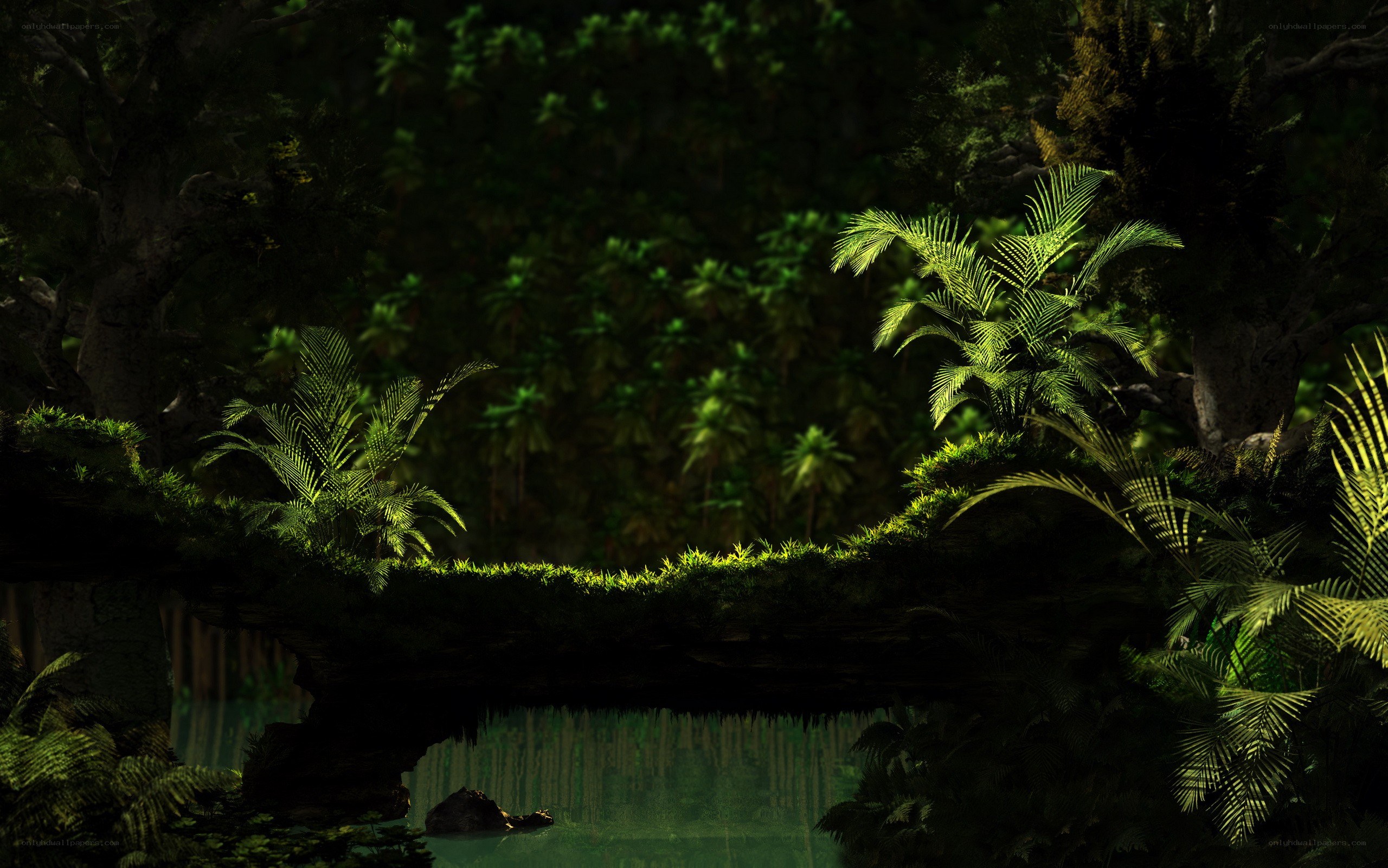 Mossy bridge in jungle