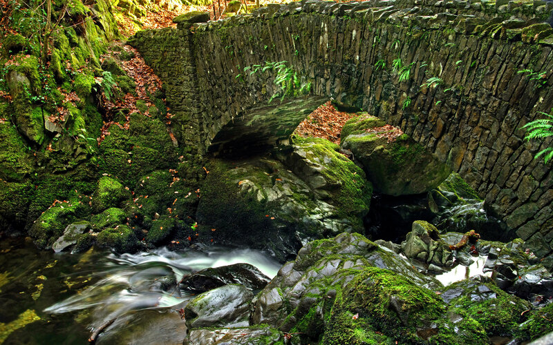 Mossy bridge over stream