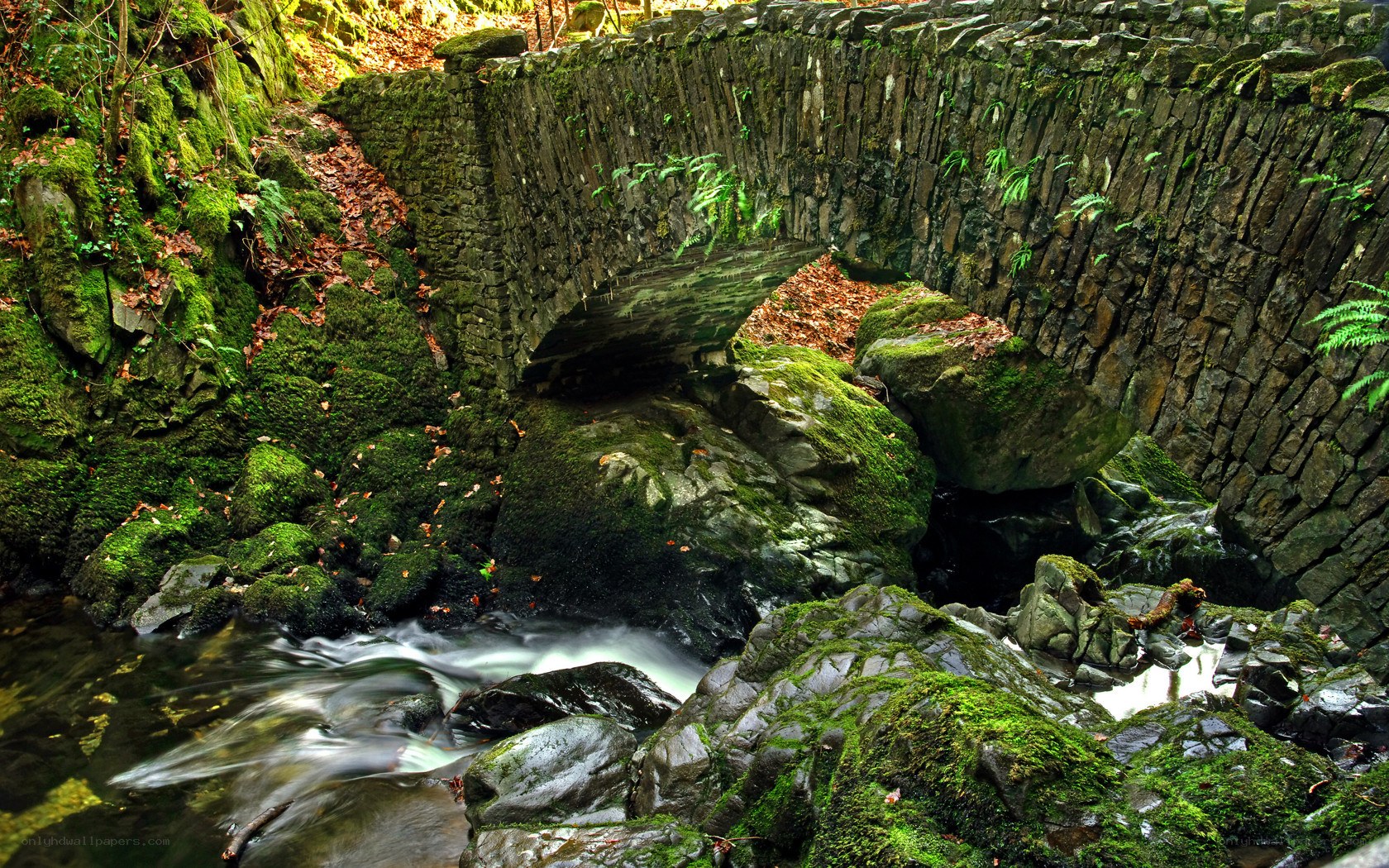 Mossy bridge over stream