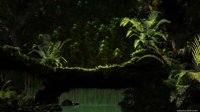 Mossy Bridge over Water