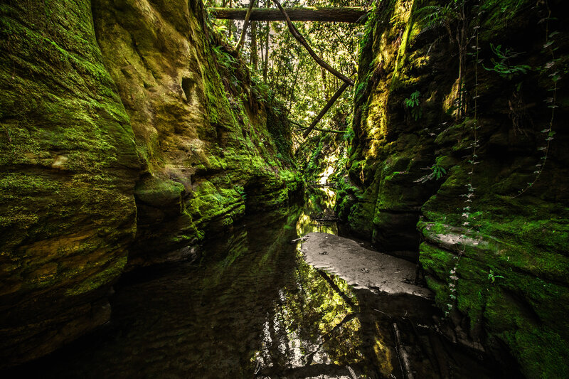 Mossy Canyon Stream — Green