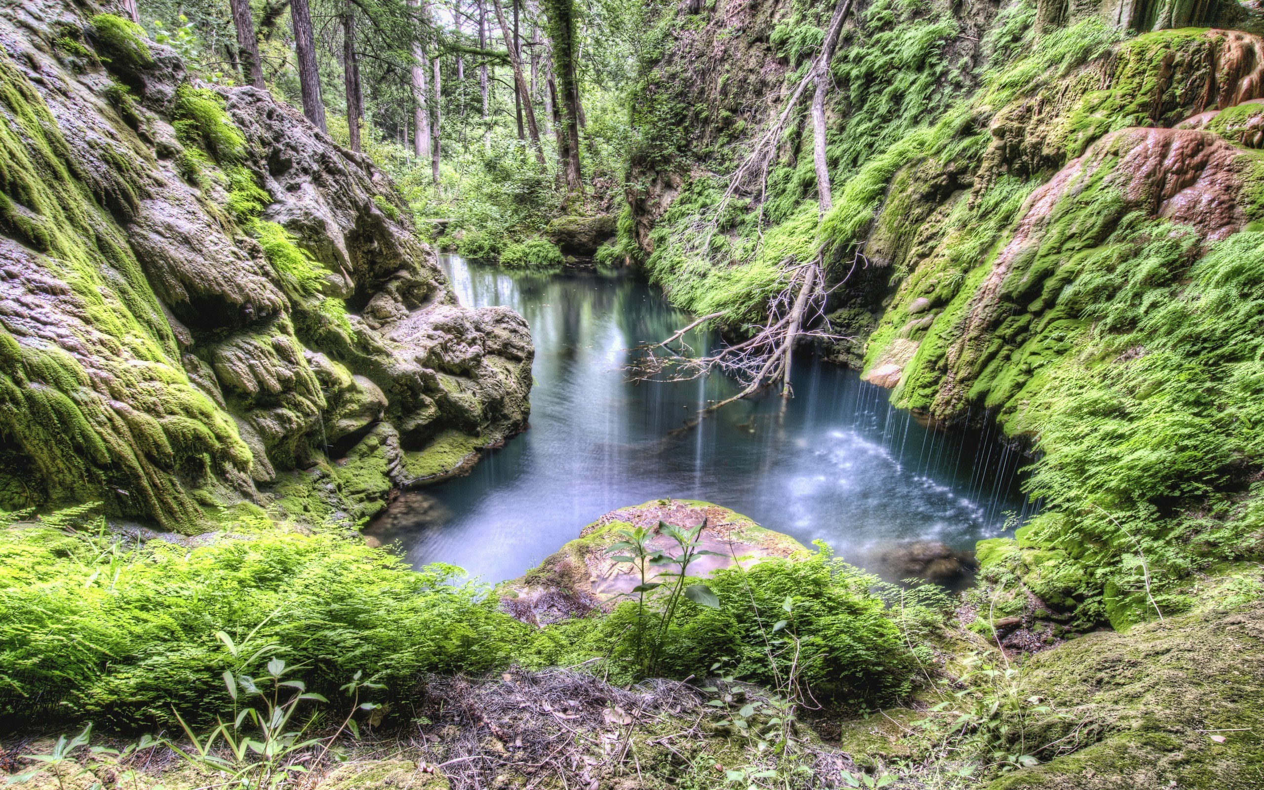 Mossy canyon stream