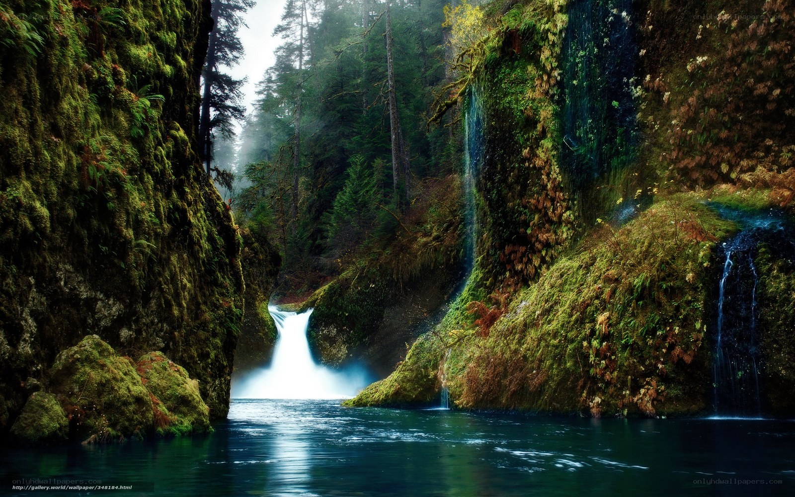 Mossy canyon waterfall