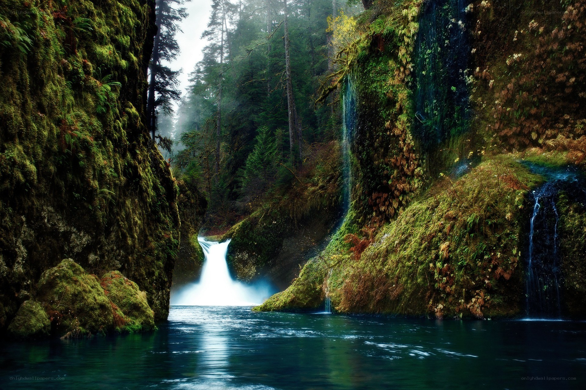 Mossy canyon waterfall