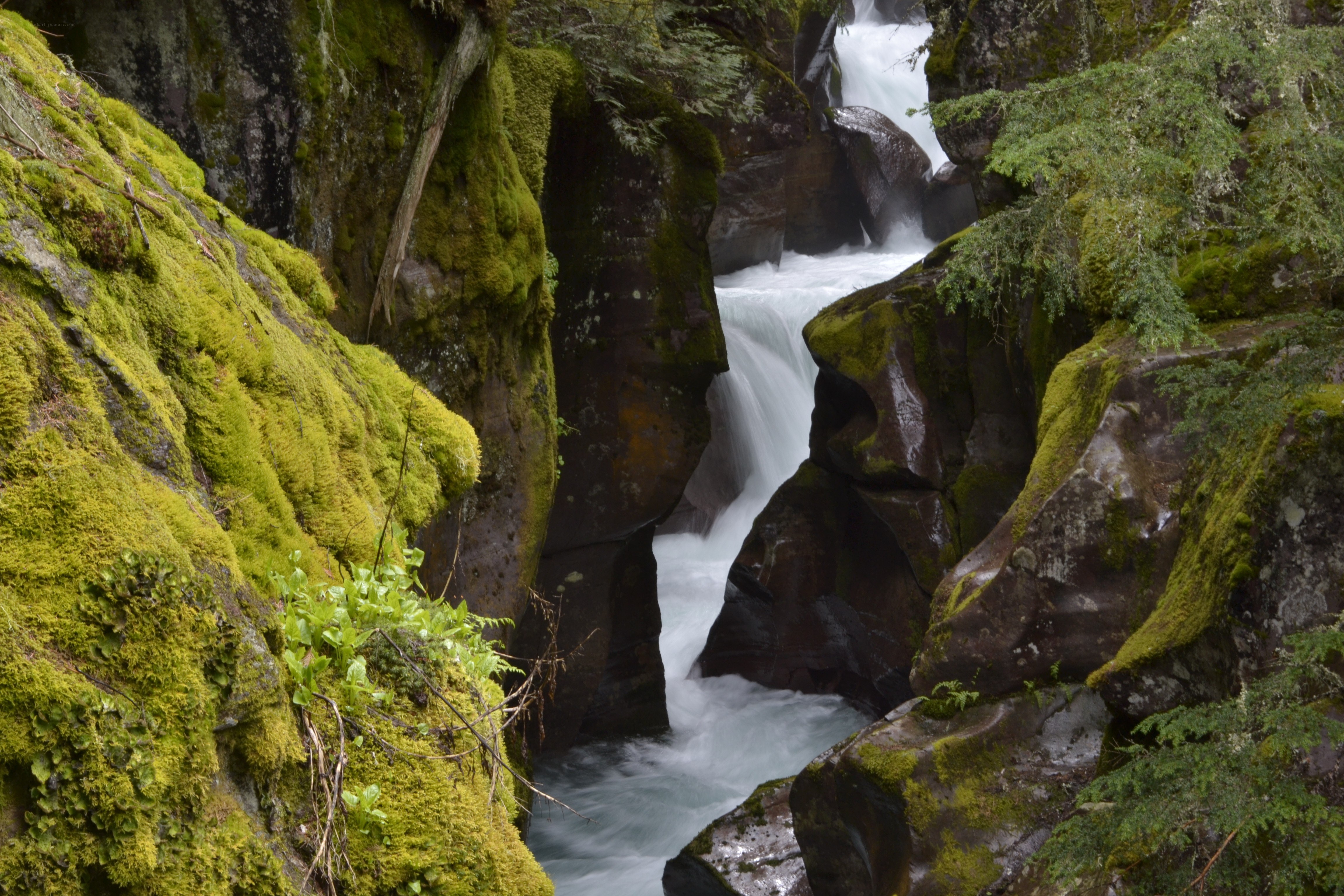 Mossy canyon waterfall