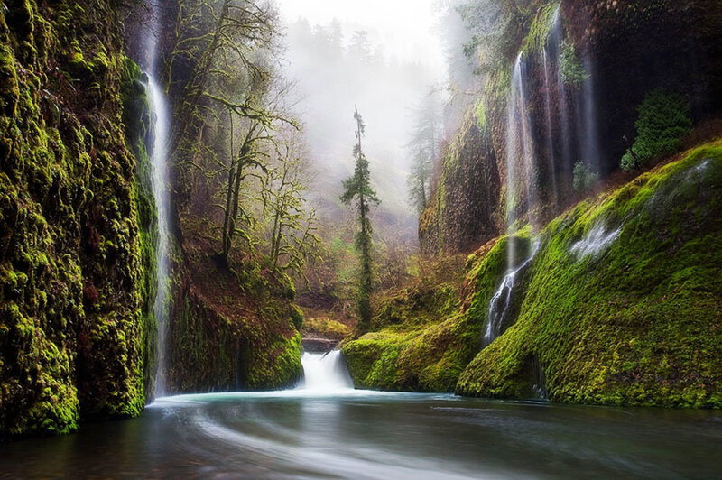 Mossy Canyon Waterfall — Green, Misty