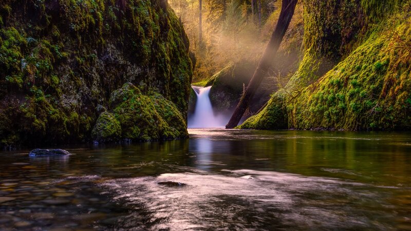 Mossy Canyon Waterfall — Green, Serene